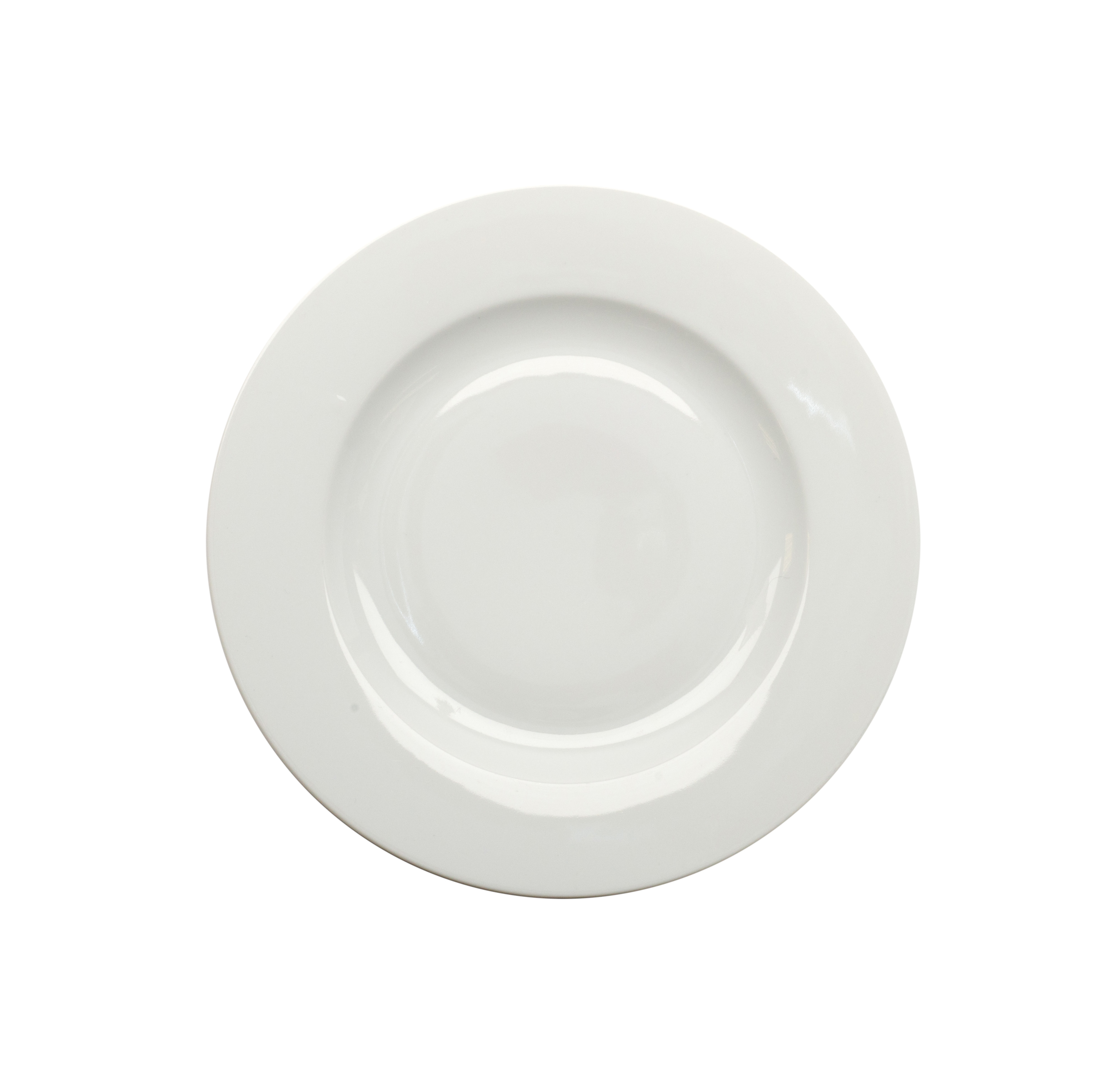 category_A3003 - Dinner Plate 10