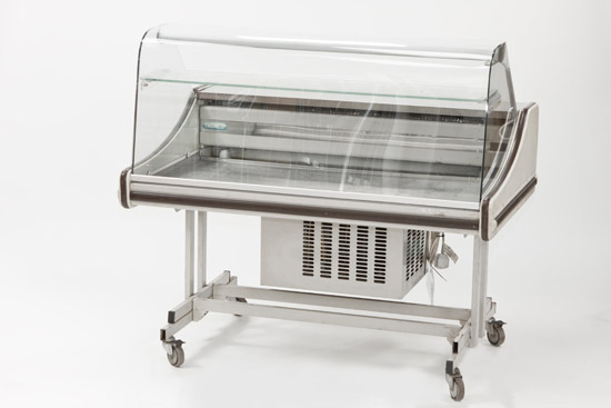 category_E1707 - Salad Bar/Cooler Display Unit